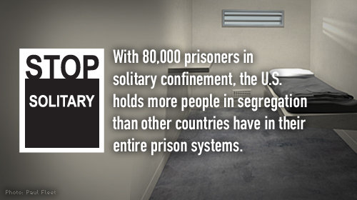 blog-stopsoltry-iachr-500x280-v01_0.jpg
