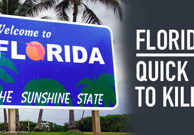 blog-dp-fl-500x280-v01_0.jpg