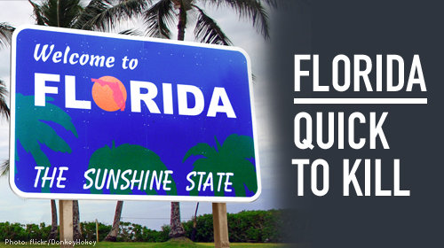 blog-dp-fl-500x280-v01_0.jpg