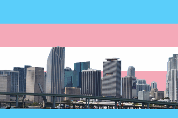 TransgenderPrideMiami-e1418397236448_0.png