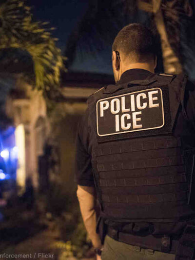 ICE Agent Palm Trees