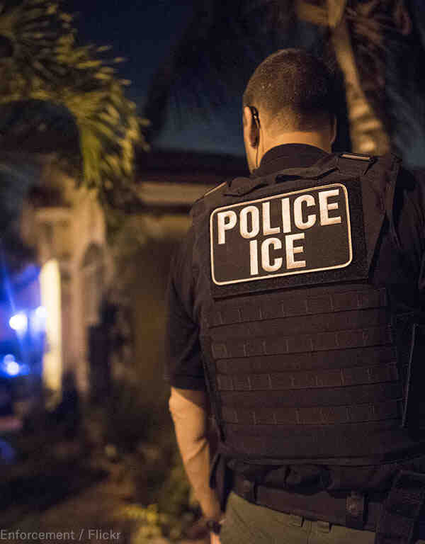 ICE Agent Palm Trees