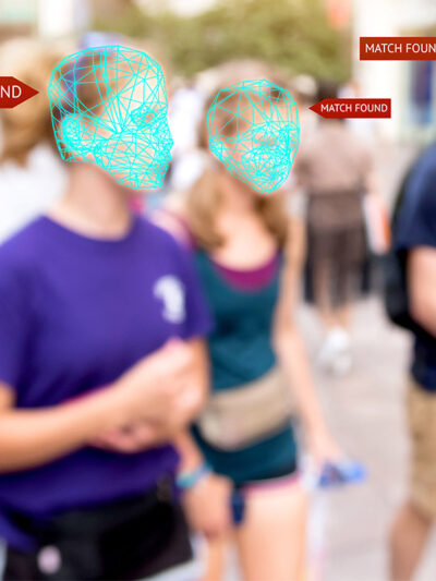 Facial recognition grid