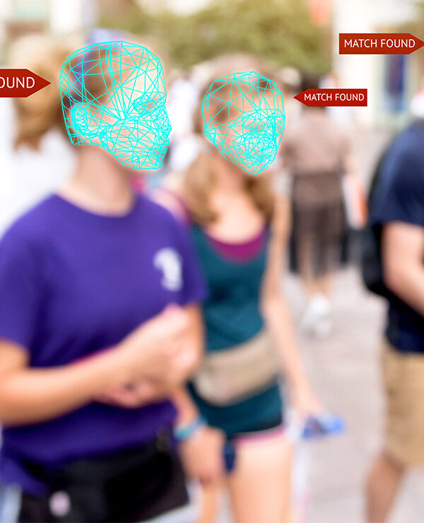 Facial recognition grid