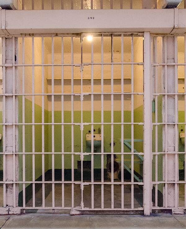 Michigan-Sentencing-BlogHeader-Image-1.jpg