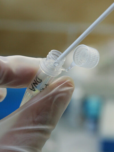 Chemist testing a DNA sample tube in a lab with a cotton swab. Tube labeled DNA.