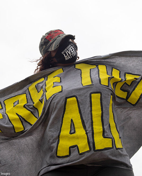 A masked protester is seen wrapped in a sign that says FREE THEM ALL