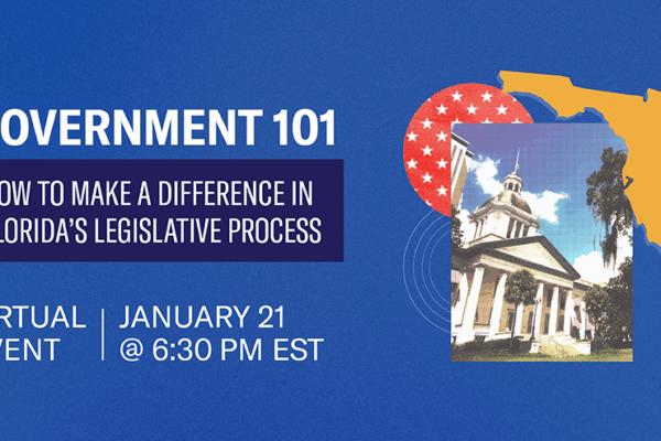 Gov 101