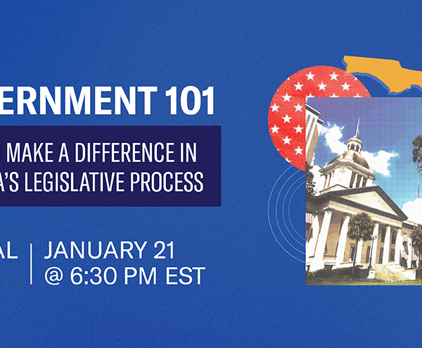 Gov 101