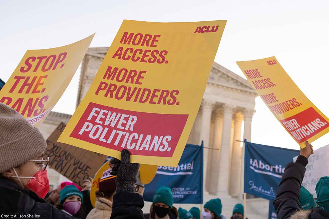 A protest sign reading “More Access. More Providers. Fewer Politicians.”