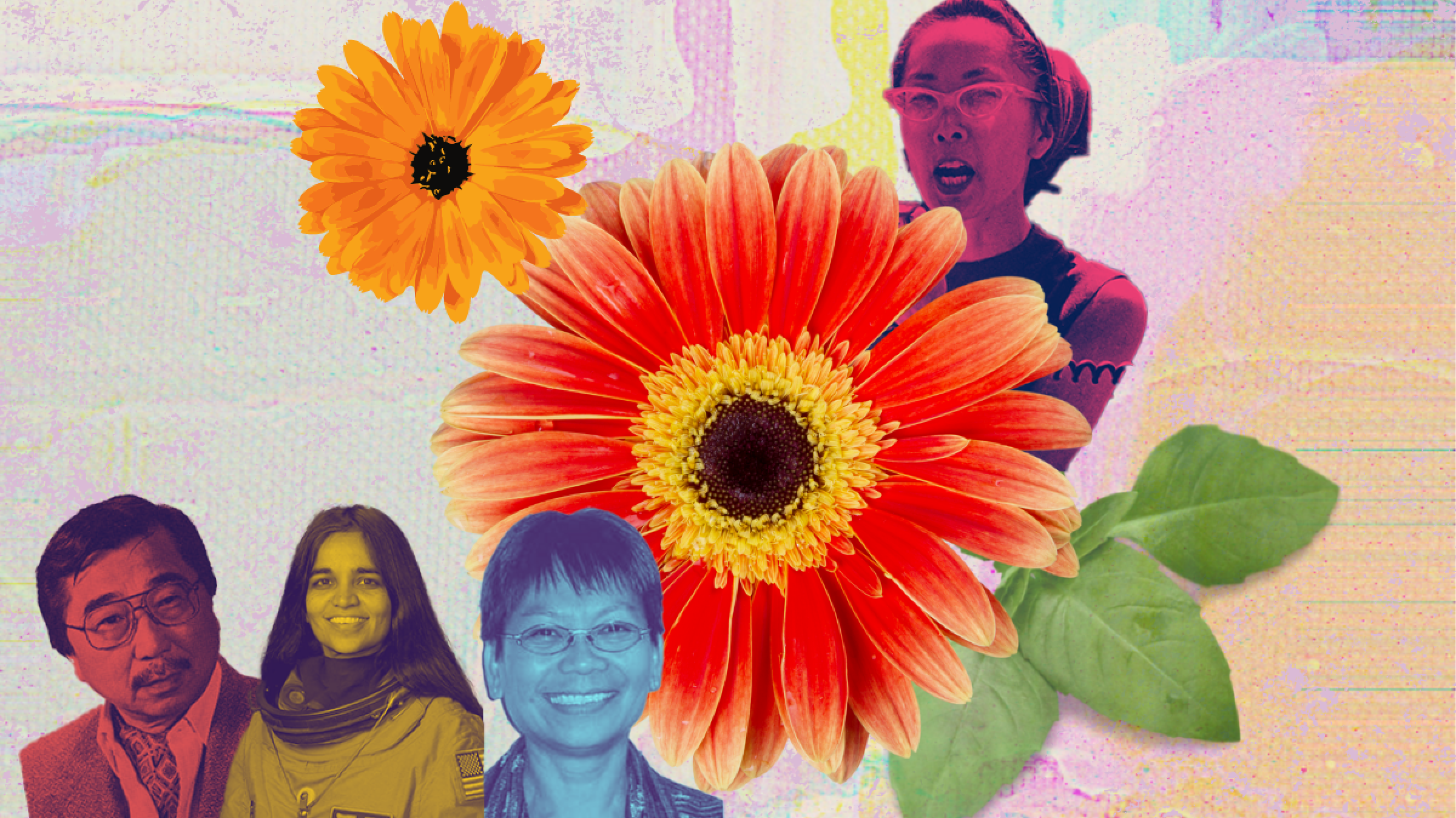 aclu_tw_aapi_reflection_post_1200x675_june2021